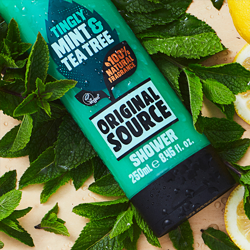 Tingly Mint & Tea Tree Shower Gel Original Source